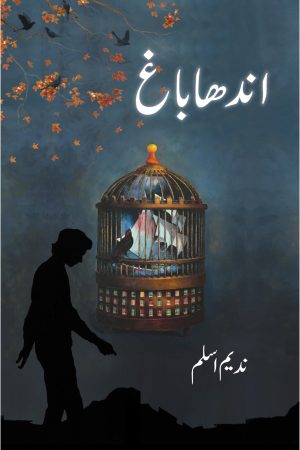 Andha Bagh؛ اندھا باغ