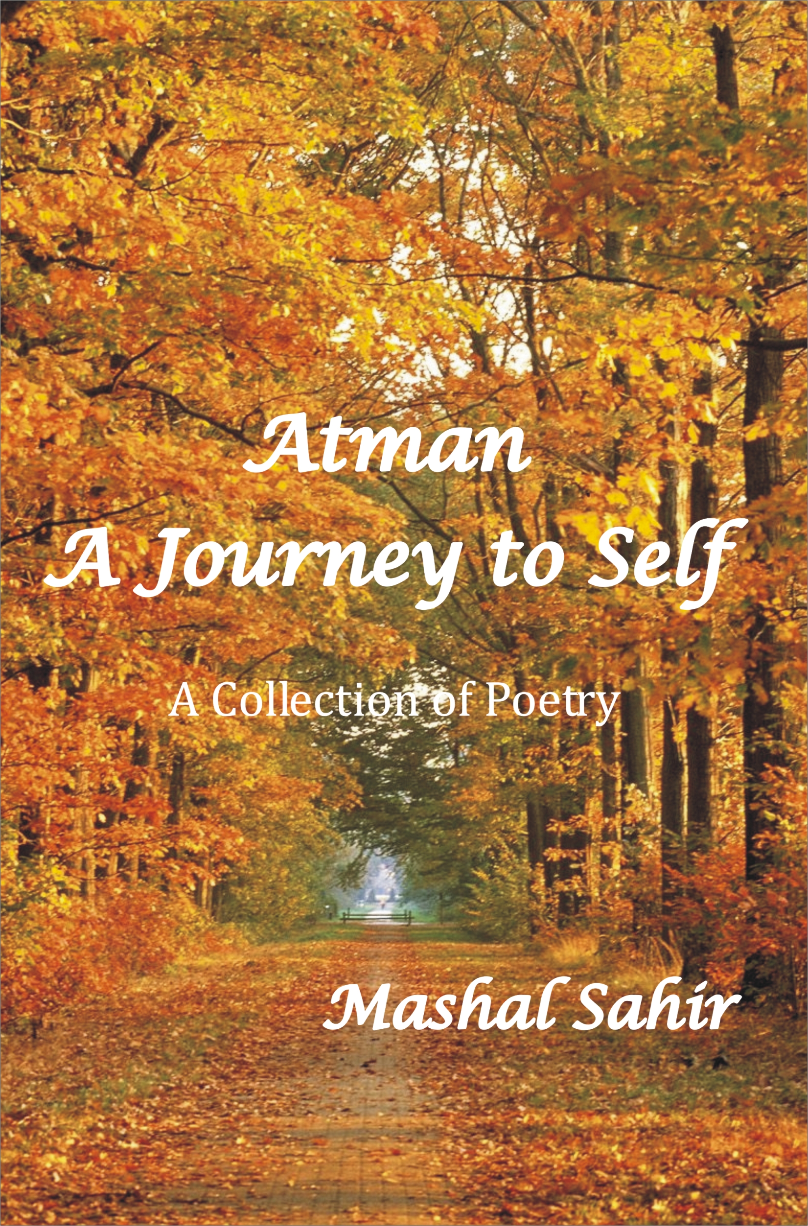 Atman; A Journey To Self