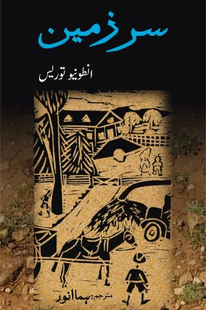 Sarzameen سرزمین