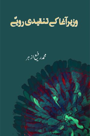 Wazir Agha Ke Tanqeedi Rawayye وزیر آغا کے تنقیدی رویے